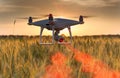 Drone flying above wheat field and mapping Royalty Free Stock Photo