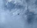 Drone flying in the blue sky with white clouds, close-up