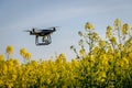 Drone Working on a Farm Flying Over Fields to Collect Crop Data