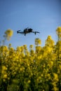 Drone Working on a Farm Flying Over Fields to Collect Crop Data