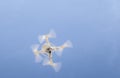 Drone flying over with camera against blue sky Royalty Free Stock Photo