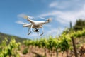 Drone Flying Over Vineyard with Blue Sky and Blurred Background. Royalty Free Stock Photo