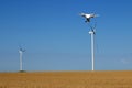 Drone flying over wheat field with wind turbine