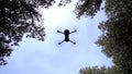 Drone flying in slow motion over the sky and between the trees.