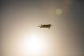 Drone flying at sunrise Royalty Free Stock Photo
