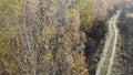 Drone getting down in autumn yellow forest near rural road, on the woods, fly over yellow, aerial shot Royalty Free Stock Photo