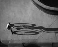 Drone grayscale shot of TX biker at the skate park casting a long shadow Royalty Free Stock Photo