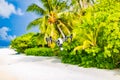 Drone hoovering above wooden deck on tropical island shore. Exotic nature landscape,