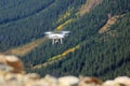 A white drone flying above a pine tree forest