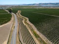 Vineyards from the air, Skaggs Island area Royalty Free Stock Photo