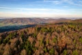 Bavarian forest touched by golden sunlight near Furth im Wald