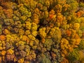 Drone looking down on beautiful colorful variegated autumn foliage of deciduous forest in October