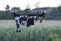 Drone at nightfall  copter with camera flying at dawn. Quadrocopter drone. Royalty Free Stock Photo