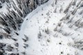 Drone overhead view of snowmobile rider going through alpine forest Royalty Free Stock Photo