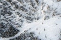 Drone overhead view of snowmobile rider going through alpine forest Royalty Free Stock Photo