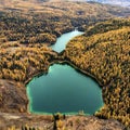 A drone photo of an autumn forest with yellow and green trees on a cliff and two large turquoise lakes