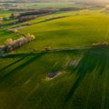 Drone photo of the bright green wheat field separated by the road. There is a tree by the road. aerial view. beautiful minimalist Royalty Free Stock Photo