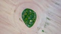 Drone photo of the bright green wheat field separated by the road. There is a tree by the road. aerial view. beautiful minimalist Royalty Free Stock Photo