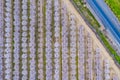 Drone photo of California almond trees in bloom Royalty Free Stock Photo