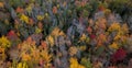 Drone Photo Fall Foliage Acadia National Park in Autumn Royalty Free Stock Photo