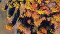 Drone photo of a forest in autumn and near a country road