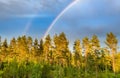 Drone photo, from low height: double rainbow over summer pine tree forest, very clear skies and clean rainbow colors. Scandinavian Royalty Free Stock Photo