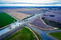 Drone photo of California almond trees in bloom Royalty Free Stock Photo