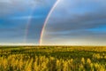 Drone photo, rainbow over summer pine tree forest, very clear skies and clean rainbow colors. Scandinavian nature are illuminated