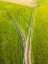 Drone Photo of the Road Between Fields in Colorful Early Spring Royalty Free Stock Photo