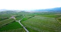 drone photography,aerial view of orchards in resen, prespa, macedonia