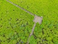 Drone Photography of the Bird Eye View of Spurred Mangrove Forest with Many Visitors Enjoy the View on Wooden boardwalk, Thailand Royalty Free Stock Photo