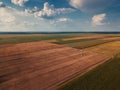 Drone photography of cultivated fields in summer