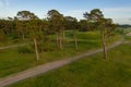 Drone photography of hiking path near sea and forest Royalty Free Stock Photo