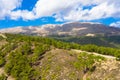 Drone photography, hilly landscape with fir trees and mountain range. Attavyros Mountain, Rhodes island.