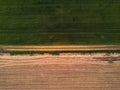 Drone point of view on cultivated wheat field