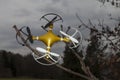 Drone quadcopter crashed on tree in city park Royalty Free Stock Photo