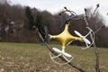 Drone quadcopter crashed on tree in city park Royalty Free Stock Photo