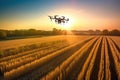 Drone quadcopter with digital camera flying in the air over agricultural field at sunset