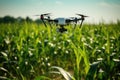 Drone quadcopter with digital camera flying over corn field, Agriculture Drone Monitoring Green Corn Field, AI Generated Royalty Free Stock Photo