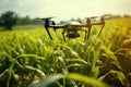 Drone quadcopter with digital camera flying over corn field, Agriculture Drone Monitoring Green Corn Field, AI Generated Royalty Free Stock Photo