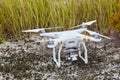 Drone quadrocopter Phantom PRO Professional with high resolution digital camera Royalty Free Stock Photo