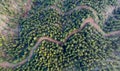 Drone scenery of rural mountain windy road through forest. Troodos mountains Cyprus Royalty Free Stock Photo