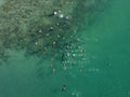 drone shot aerial view of bird sanctuary pelicans in cortez sea baja california sur