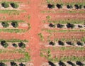 Drone shot of agriculture at Childers Queensland Royalty Free Stock Photo