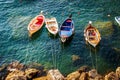 Drone shot of colorful boats on the surface of the sea near Vernazza town in Italy