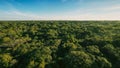 Drone Shot Of An Endless View Green Forest Royalty Free Stock Photo