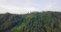 Drone shot of lush greened mountains with trees