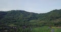 Drone shot of lush greened mountains with trees