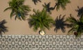 Drone shot of palm trees on the beach along the sidewalk with famous Copacabana mosaic Royalty Free Stock Photo