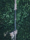 Drone shot of rails of train surrounded by lush forests